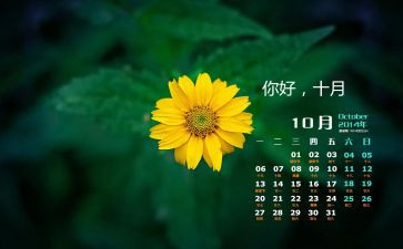 10月幼儿大班工作计划5篇