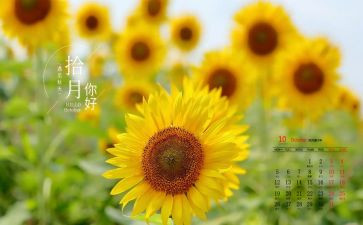 大大班10月份工作计划7篇