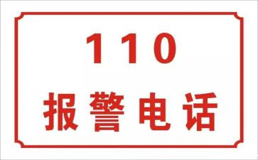 110业务工作总结精选7篇