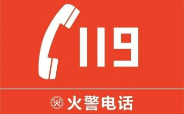 119作文200字7篇