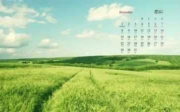 12月行政工作总结范文5篇
