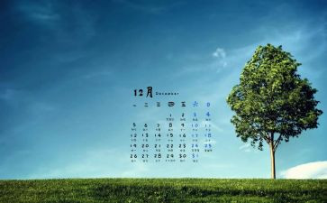 文秘12月度工作总结6篇