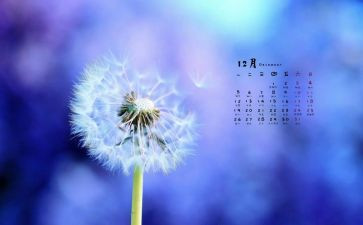 销售12月工作总结7篇