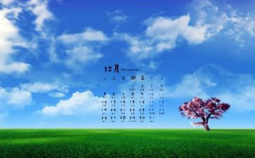 中班12月工作总结6篇
