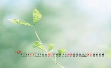 12月青协工作总结范文推荐6篇