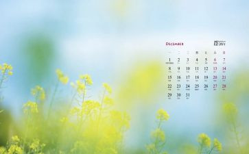 幼儿园小班12月工作总结7篇