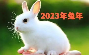 2023年公务员心得体会推荐8篇