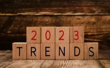 社区书记2023年工作总结6篇