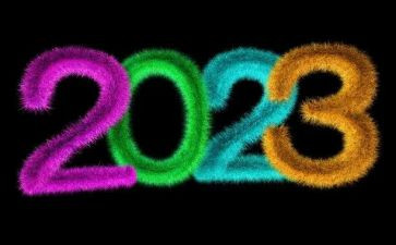2023年生物教师工作总结精选5篇