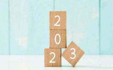 2023秋德育处工作总结优质7篇