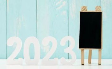 2023年学校党支部工作总结报告6篇