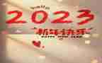 2023年总结及2023年计划作文7篇