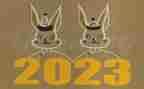 20230年执法工作计划6篇