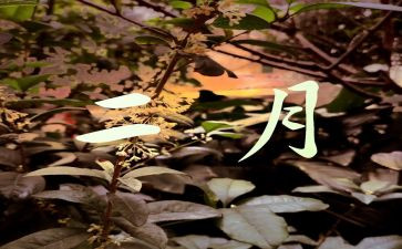 幼儿园大班2月份月计划7篇