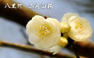 2月份工作总结优质6篇