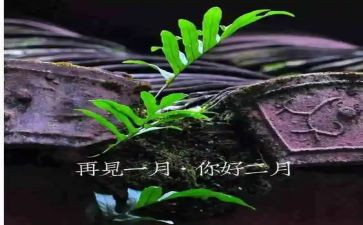 2月演讲稿优质8篇