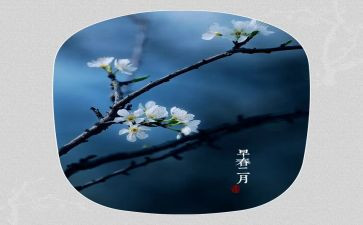 幼儿园中班2月总结8篇