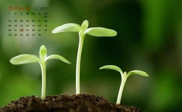 2月份安全工作总结8篇