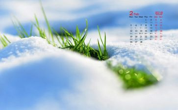关于2月2的作文6篇