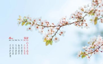 4月中班月总结8篇
