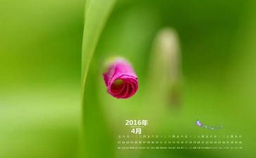 4月份幼儿园工作总结精选8篇