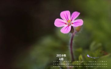 幼儿4月份工作总结通用7篇