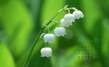 大大班4月份工作计划6篇