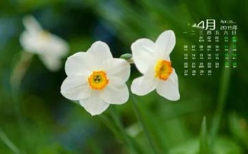 幼儿大班4月份工作总结5篇