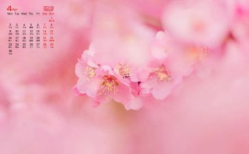 4月份的工作总结优秀5篇