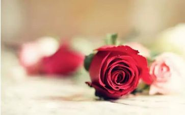 520游戏活动方案优质5篇