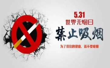 乡村振兴531工作计划8篇