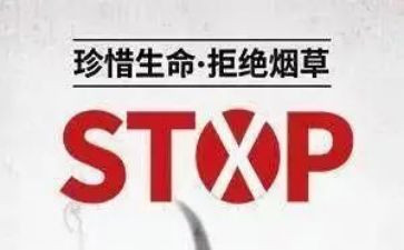 教师531研修总结优质6篇