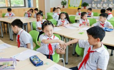 大班数学教案单双数教案6篇