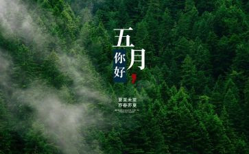 5月客服工作总结5篇