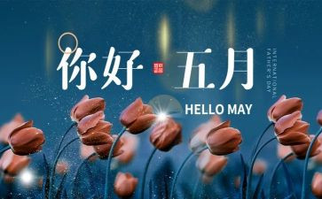 5月幼儿工作总结5篇