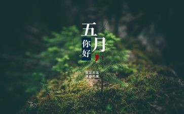 5月1工作计划推荐7篇
