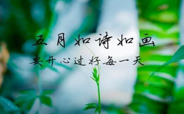 5月份幼儿园工作总结5篇