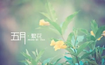 5月总结演讲稿6篇