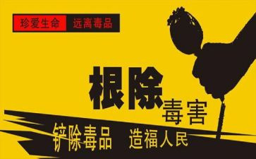 626服务中心工作总结精选5篇