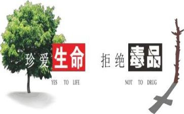 626宣传禁毒活动总结7篇
