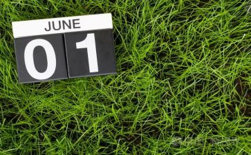 6月教育活动总结6篇