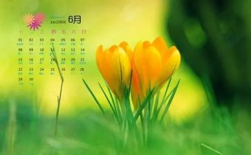 6月份安全工作总结8篇
