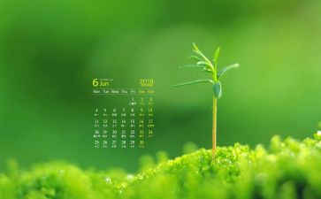 2024年6月份工作计划通用5篇