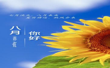 8月份的工作计划7篇