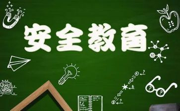 关于911是件的读后感最新6篇