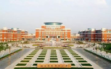 985的学习计划精选8篇