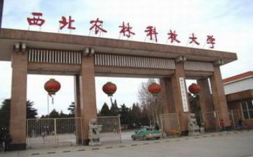 985英语学习计划参考5篇