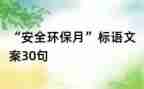 2024年安环部工作总结8篇
