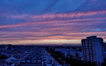 描写傍晚作文5篇