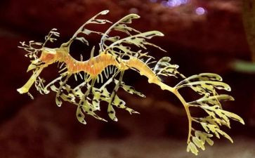 微生物实验心得体会8篇